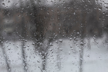 Through the windowpane in raindrops, silhouettes of trees are visible.