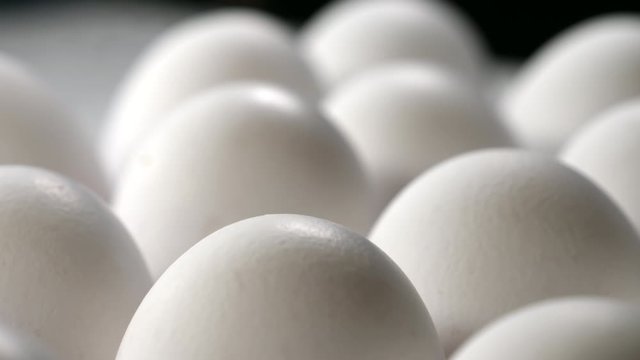 Smooth egg shell of the white eggs on the tray