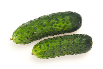 Ripe fresh green two cucumbers