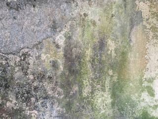 Organic Textures