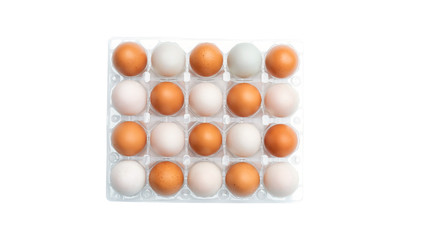 Chicken egg and duck egg on a white background.