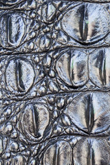 crocodile skin closeup for background