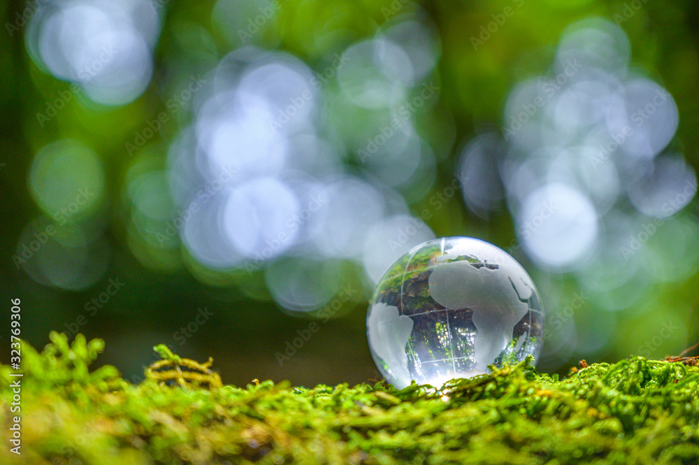 Wall mural concept save the world save environment the world is in the grass of the green bokeh background