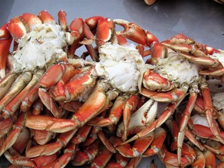 freshly caught crab