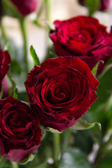  spring bouquet of red roses