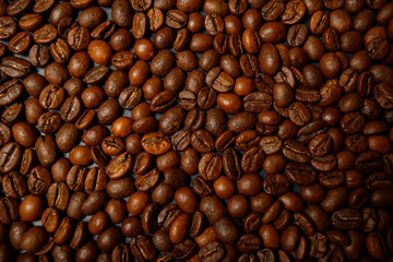 Arabica coffee