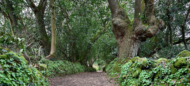 chemin de Bretagne
