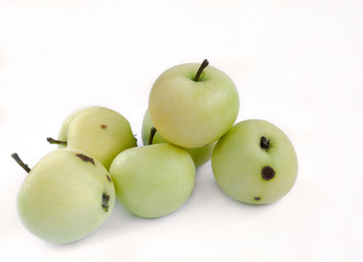 fruit of apple tree, yellow, isolated on white background
