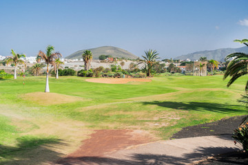 Fototapeta premium Green golf course