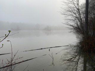 Fototapeta premium Morning On the Lake