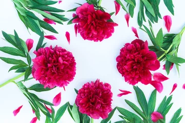 Fotobehang Flowers composition. Red peonies flowers on white background. © Elena