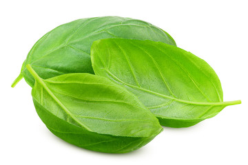 fresh basil, isolated on white background, clipping path, full depth of field