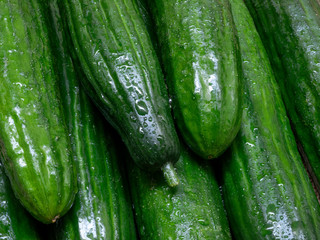 Top view of organic fresh cucumbers