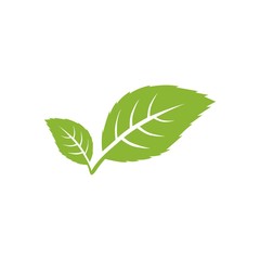 green leaf  vector icon, green leaf ecology nature element vector design on white background
