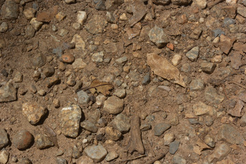 Gravel