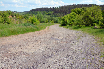 gravel road between green trees