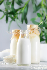 Vegan rice plant based milk in bottles, closeup, gray background. Non dairy alternative milk....