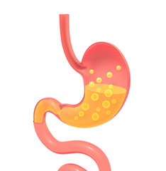 3D illustration showing the inside of the stomach doing digestion. Representation with empty volume, isolated silhouette resting on the ground with shadow. - obrazy, fototapety, plakaty
