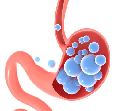 3D illustration of the human stomach with gases. Graphic representation of a hollow interior section.
