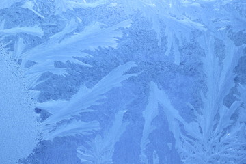 frost patterns on glass