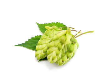 Green flower hop.