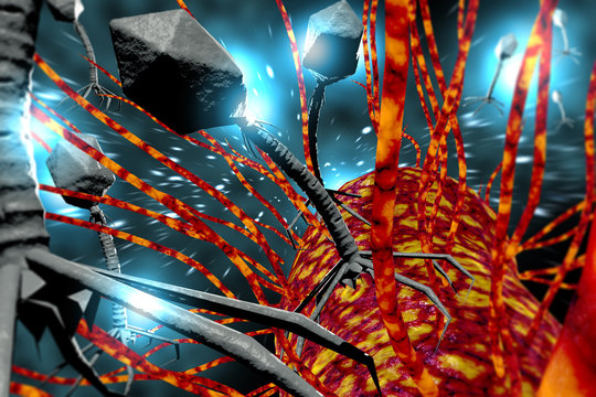 Bacteriophage Virus 3D Illustration