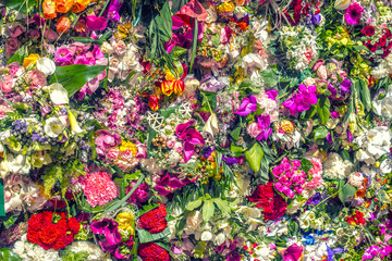 Fototapeta na wymiar Multicolored flowers and petals background used for decoration and cards