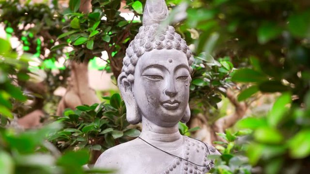 Beautiful buddha statue in bonsai forrest. Enlightenment, spirituality concept.