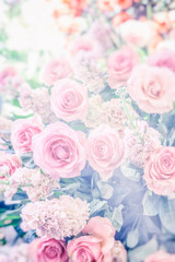 Multicolored flowers and petals background used for decoration and cards