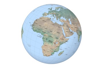 globe with cartographic grid and terrain relief on white background