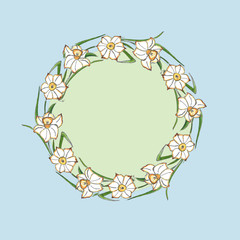 A wreath of daffodil flowers. Color illustration, handmade. Botanical hand-drawn illustration.Design for packaging, weddings, fabrics, textiles, Wallpaper, website, postcards.