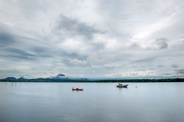 Mangrove photographed in Vitoria, Espirito Santo. Southeast of Brazil. Atlantic Forest Biome. Picture made in 2016.