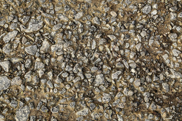 Grey gravel texture. Rustic road surface top view photo