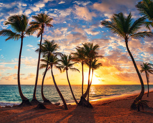 Palmtree and tropical beach