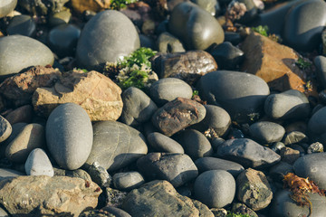 Smooth Round Pebble; Natura Background. Textures