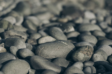 Smooth Round Pebble; Natura Background. Textures