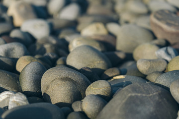Smooth Round Pebble; Natura Background. Textures