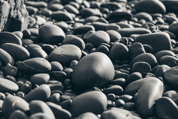 Fototapeta na wymiar Smooth Round Pebble; Natura Background. Textures