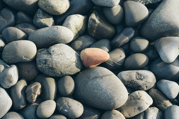 Smooth Round Pebble; Natura Background. Textures