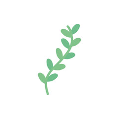 Isolated natural leaves flat style icon vector design