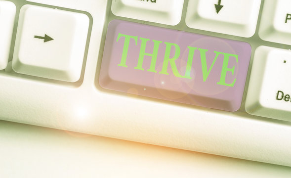 Conceptual hand writing showing Thrive. Concept meaning Think positively Continue to prosper and flourish Time to Blossom