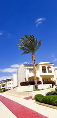 Fototapeta na wymiar Terrace white color in hotel with a palm tree against blue sky.