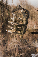old wooden ship wreck on a calm lake on a sunny autumn day