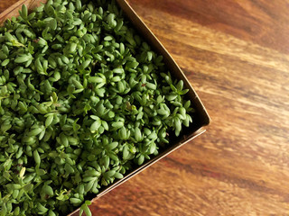 Fresh, organic garden cress, also cress or curly cress on wooden background.