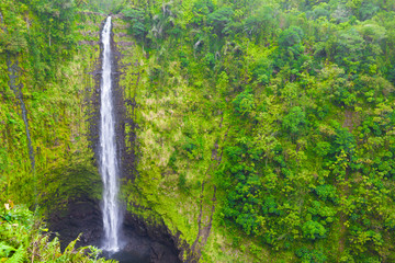 Beautiful tropical Hawaii waterfall 