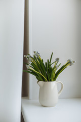 Green flowers in a white ceramic vase on a wooden board white windowsill in cozy interior 