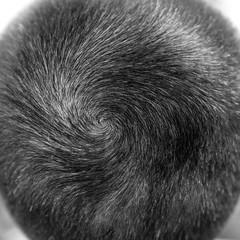 Short hair closeup, view from above. Close up of a humans head