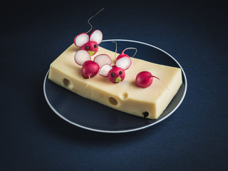 Mouses made from red radish on emental swiss cheese. DIY concept.