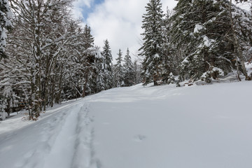 Le gros Martel dans le Vercors