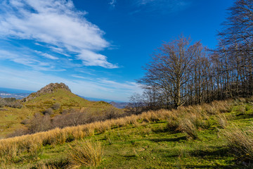 Surroundings of Mount Adarra in Gipuzkoa one winter morning